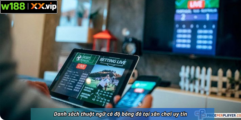 Danh sách thuật ngữ cá độ bóng đá tại sân chơi uy tín