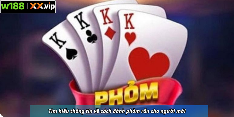 Tìm hiểu thông tin về cách đánh phỏm rắn cho người mới