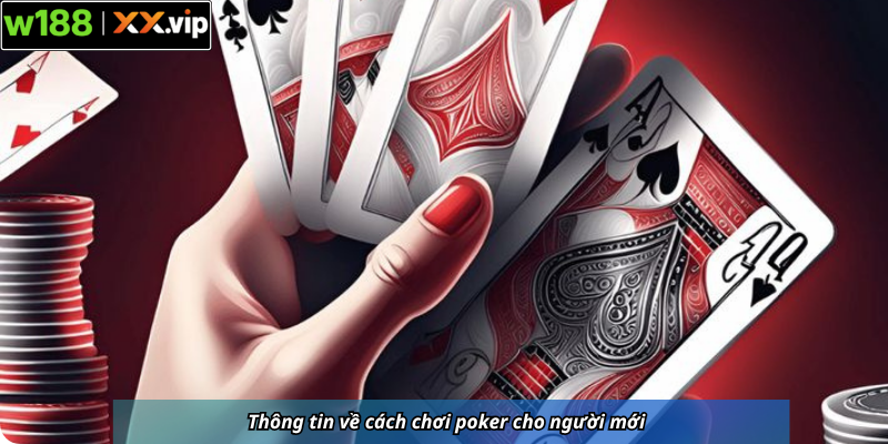  Thông tin về cách chơi poker cho người mới